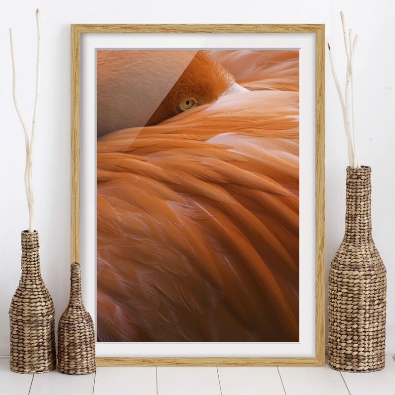 

Póster enmarcado - Flamingo Feathers Dimensión LxA: 24cm x 18cm, Marco: Roble