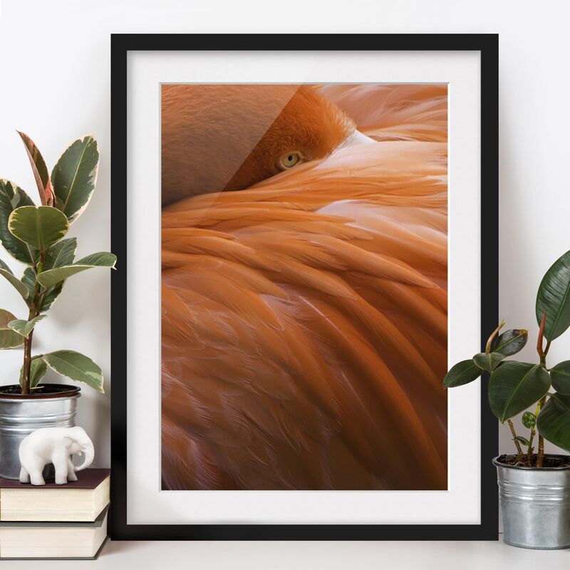 

Póster enmarcado - Flamingo Feathers Dimensión LxA: 24cm x 18cm, Marco: Negro