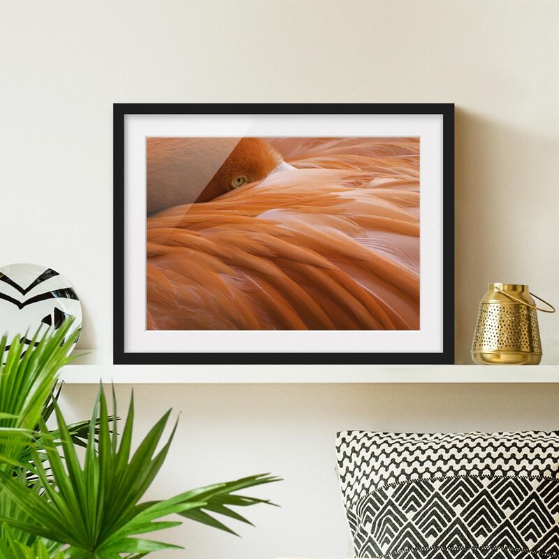 

Póster enmarcado - Flamingo Feathers Dimensión LxA: 30cm x 40cm, Marco: Negro