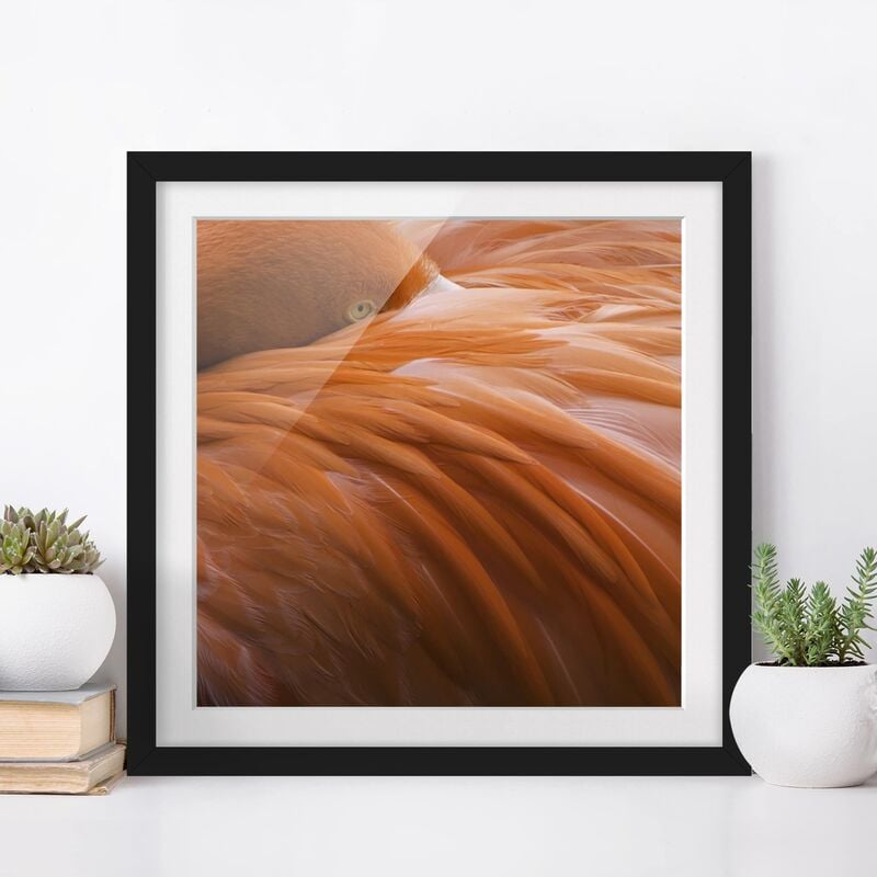 

Póster enmarcado - Flamingo Feathers Dimensión LxA: 70cm x 70cm, Marco: Negro