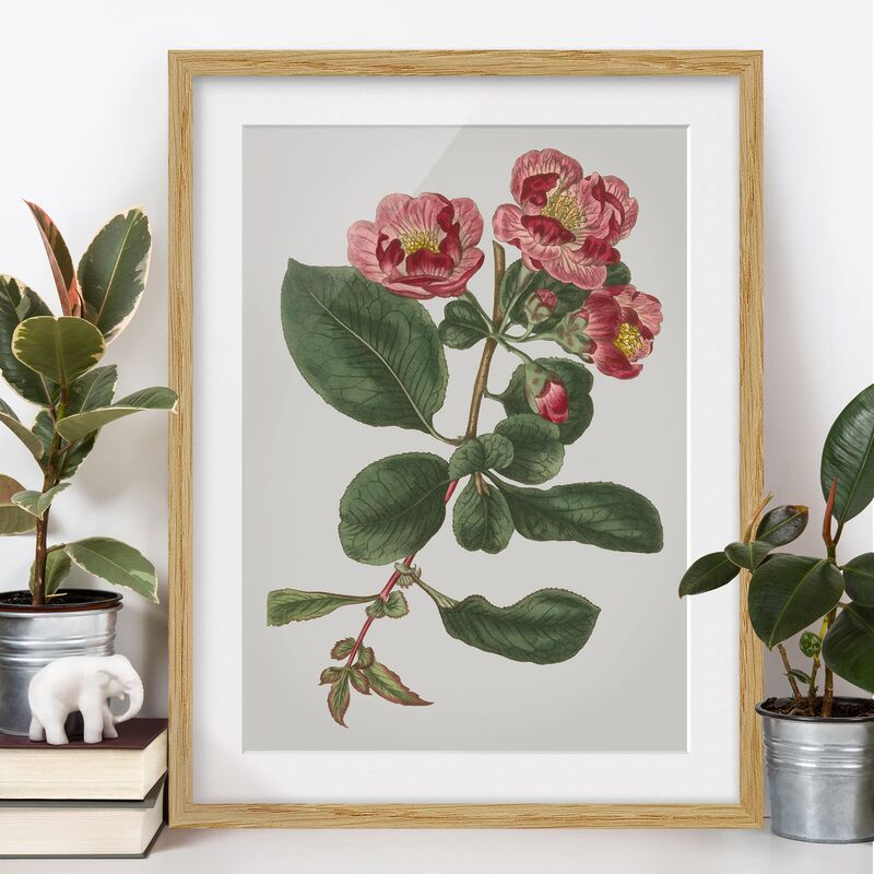 

Póster enmarcado - Floral Gioielli I Dimensión LxA: 100cm x 70cm, Marco: Roble