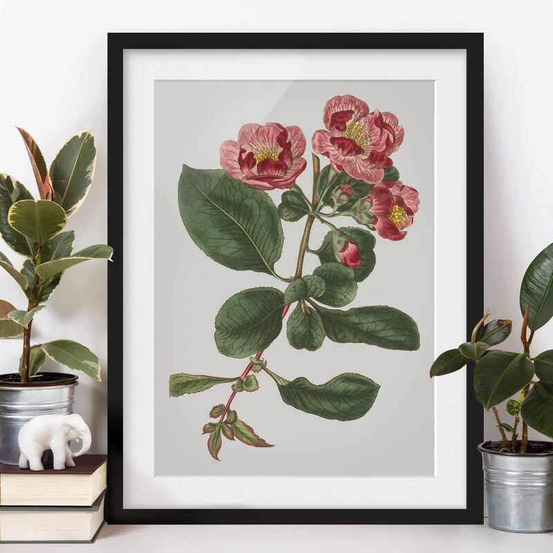 

Póster enmarcado - Floral Gioielli I Dimensión LxA: 55cm x 40cm, Marco: Negro