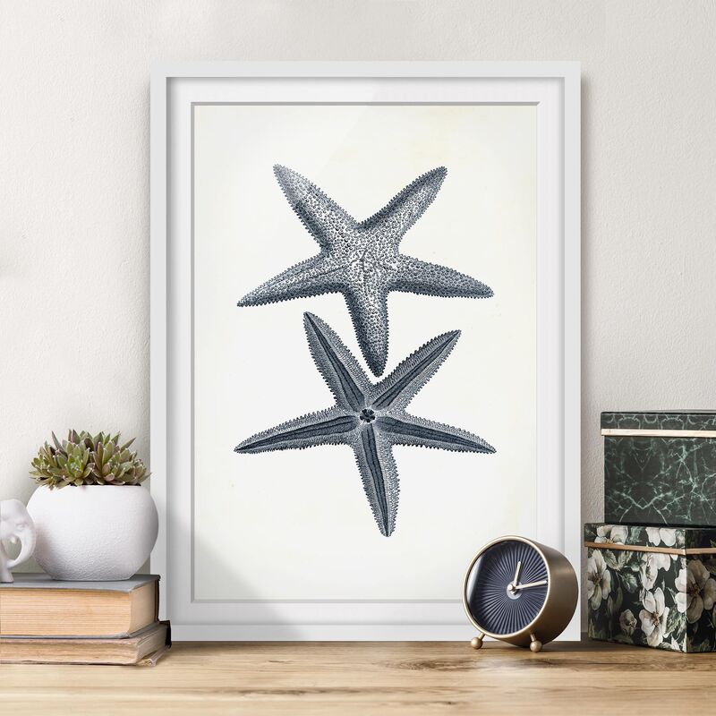 

Póster enmarcado - Flotsam A Marina Ii Dimensión LxA: 70cm x 50cm, Marco: Roble