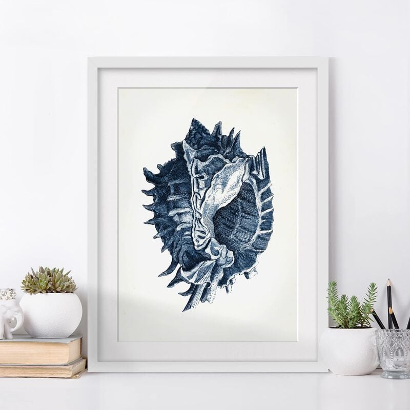 

Póster enmarcado - Flotsam In Navy I Dimensión LxA: 70cm x 50cm, Marco: Roble