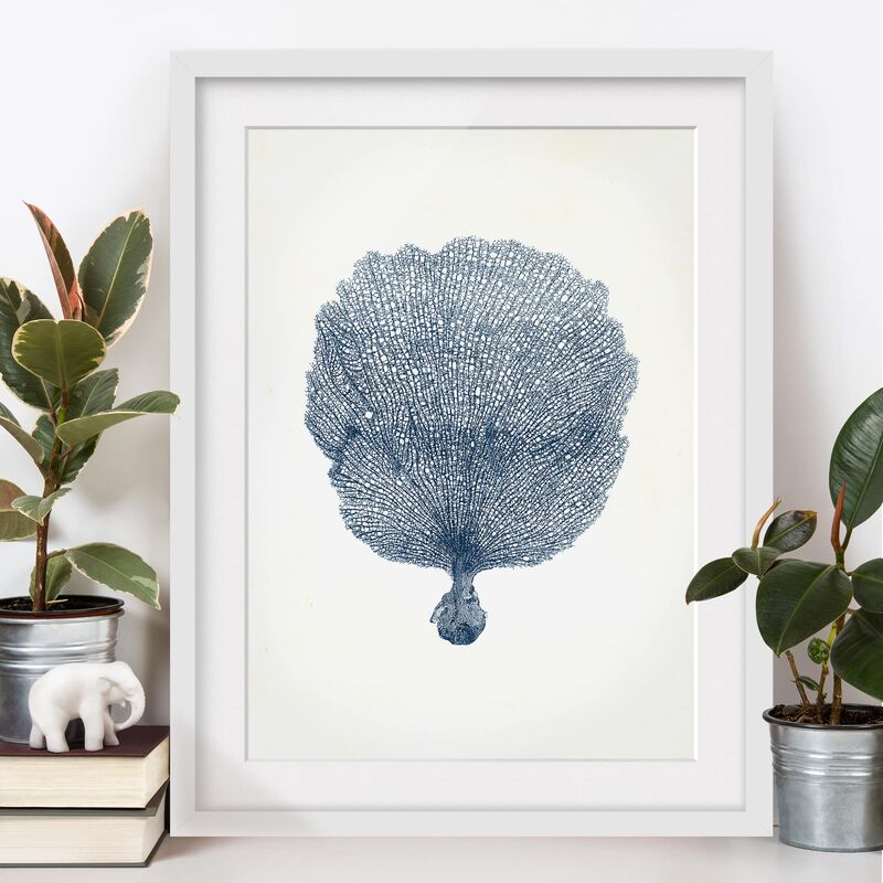 

Póster enmarcado - Flotsam In Navy Vi Dimensión LxA: 70cm x 50cm, Marco: Roble