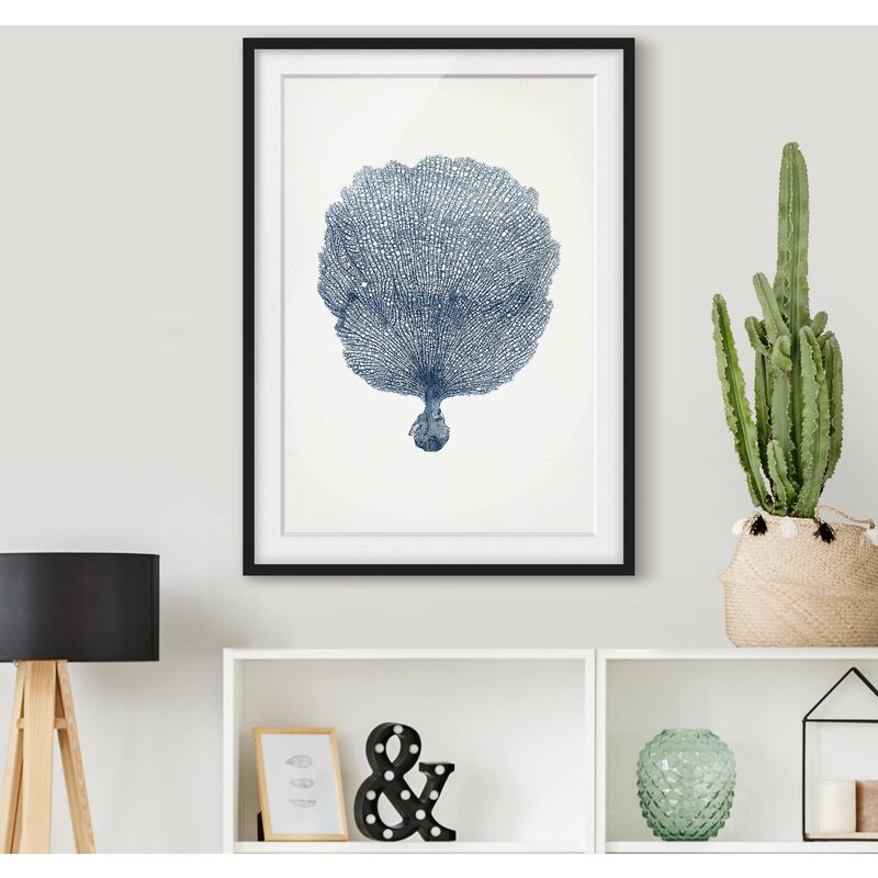 

Póster enmarcado - Flotsam In Navy Vi Dimensión LxA: 40cm x 30cm, Marco: Negro