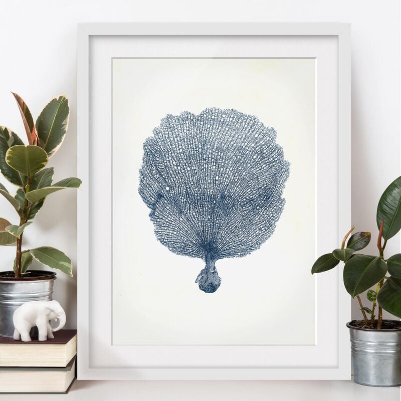 

Póster enmarcado - Flotsam In Navy Vi Dimensión LxA: 55cm x 40cm, Marco: Roble