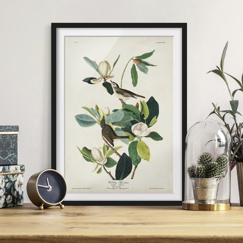 

Póster enmarcado - Flycatchers Consiglio d'epoca Dimensión LxA: 100cm x 70cm, Marco: Negro