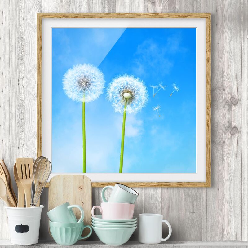 

Póster enmarcado - Flying Seeds Dimensión LxA: 30cm x 30cm, Marco: Roble
