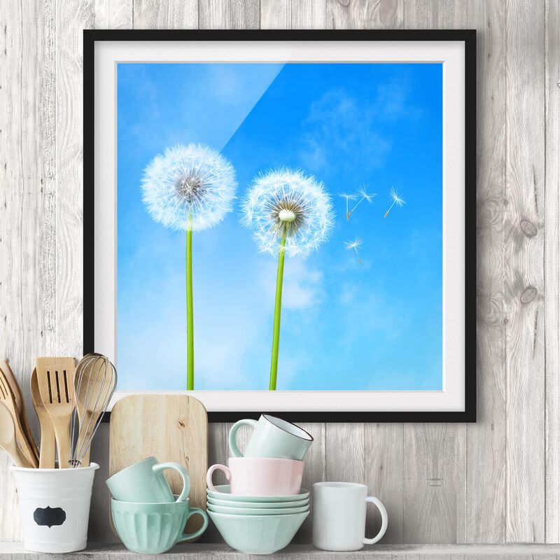 

Póster enmarcado - Flying Seeds Dimensión LxA: 70cm x 70cm, Marco: Negro