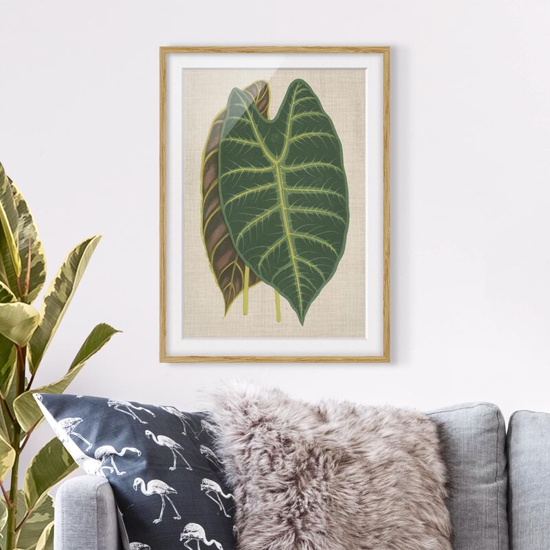 

Póster enmarcado - Fogli Su Tela I Dimensión LxA: 100cm x 70cm, Marco: Roble