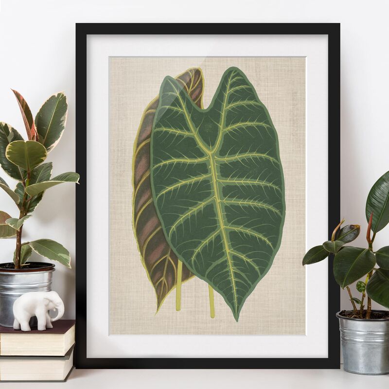 

Póster enmarcado - Fogli Su Tela I Dimensión LxA: 40cm x 30cm, Marco: Negro