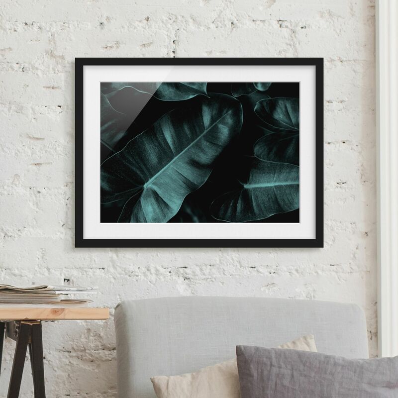 

Póster enmarcado - Foglie della giungla verde scuro Dimensión LxA: 50cm x 70cm, Marco: Negro