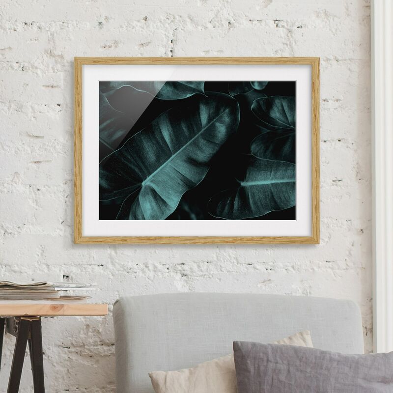 

Póster enmarcado - Foglie della giungla verde scuro Dimensión LxA: 40cm x 55cm, Marco: Roble