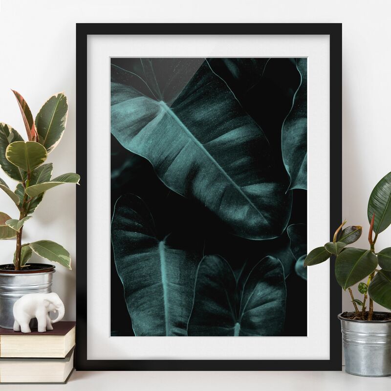 

Póster enmarcado - Foglie della giungla verde scuro Dimensión LxA: 100cm x 70cm, Marco: Negro