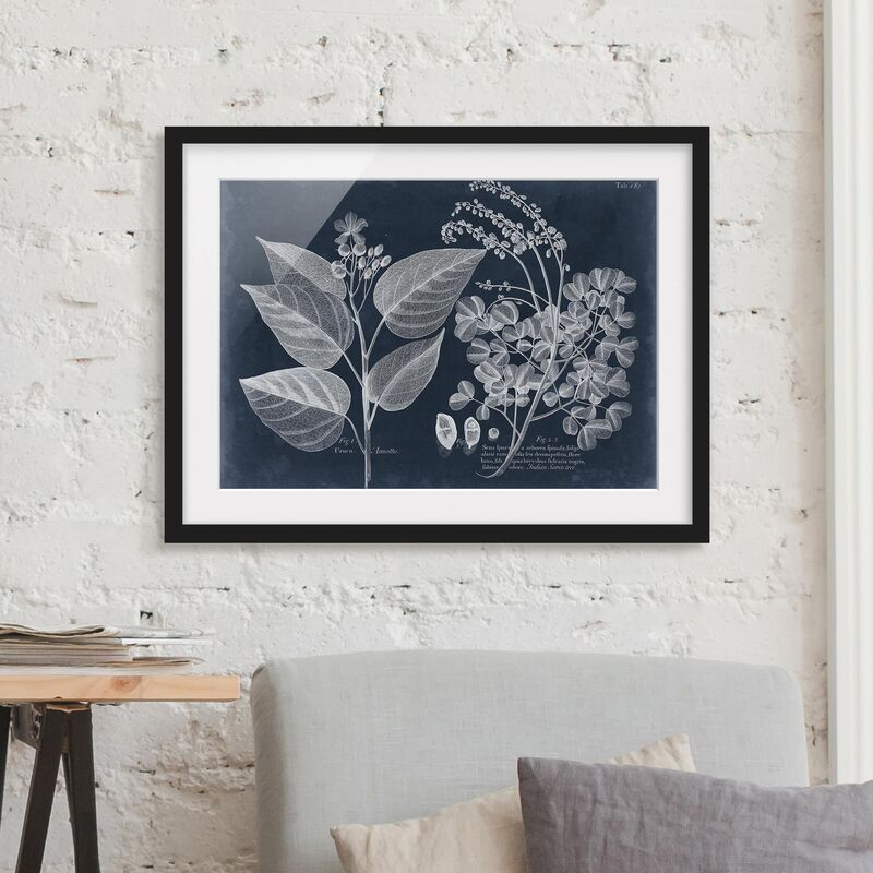 

Póster enmarcado - Foliage Dark Blue - Annotto Dimensión LxA: 18cm x 24cm, Marco: Negro