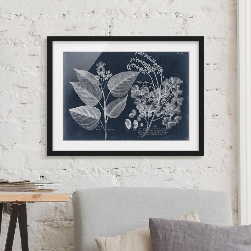 

Póster enmarcado - Foliage Dark Blue - Annotto Dimensión LxA: 70cm x 100cm, Marco: Negro