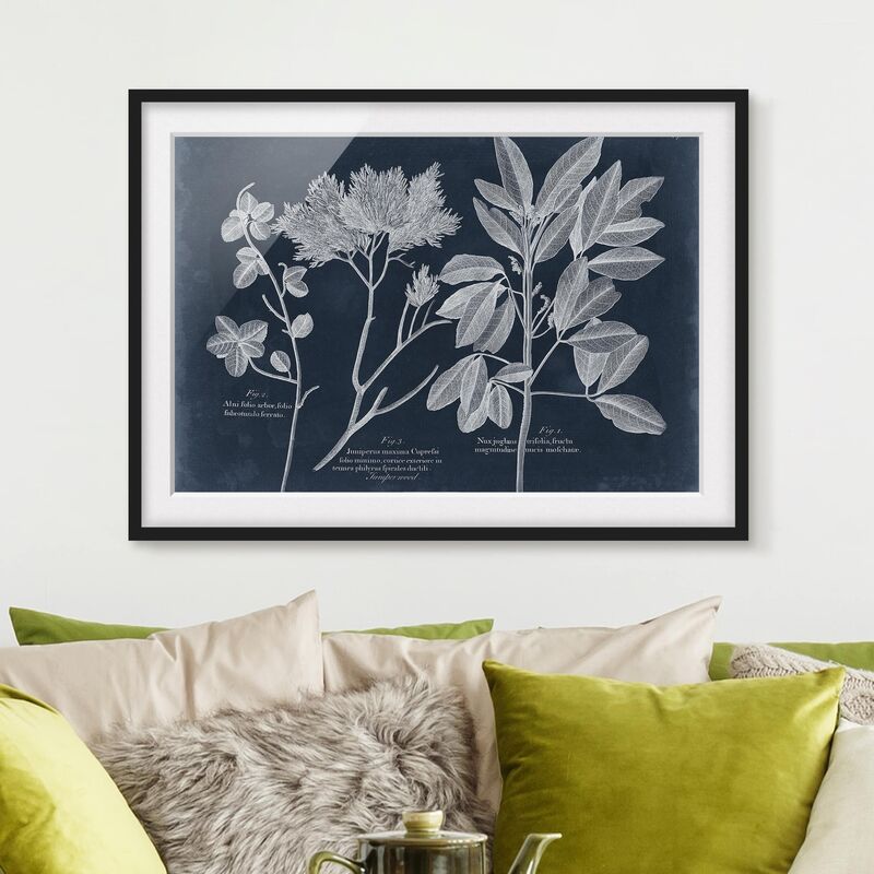 

Póster enmarcado - Foliage Dark Blue - Juniper Dimensión LxA: 50cm x 70cm, Marco: Negro