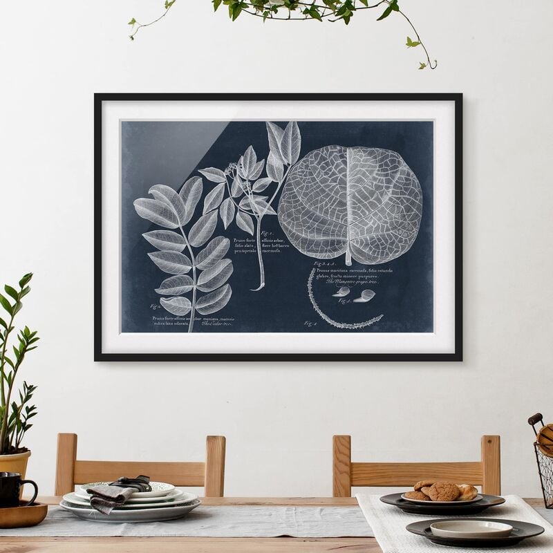 

Póster enmarcado - Foliage Dark Blue - Mangrove Dimensión LxA: 70cm x 100cm, Marco: Negro