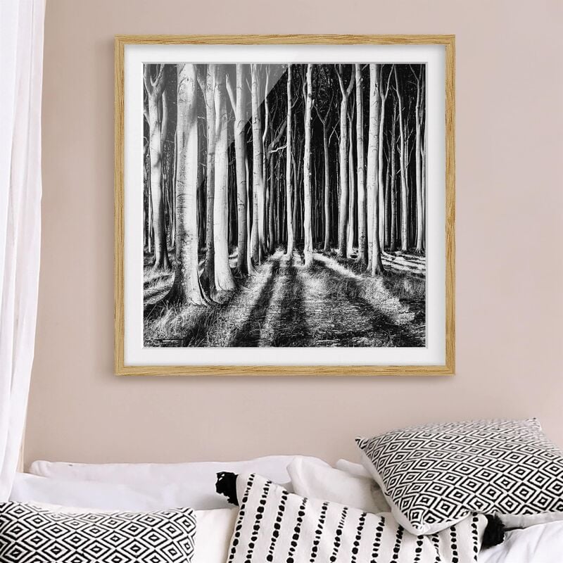 

Póster enmarcado - Forest Of Ghosts Dimensión LxA: 70cm x 70cm, Marco: Roble