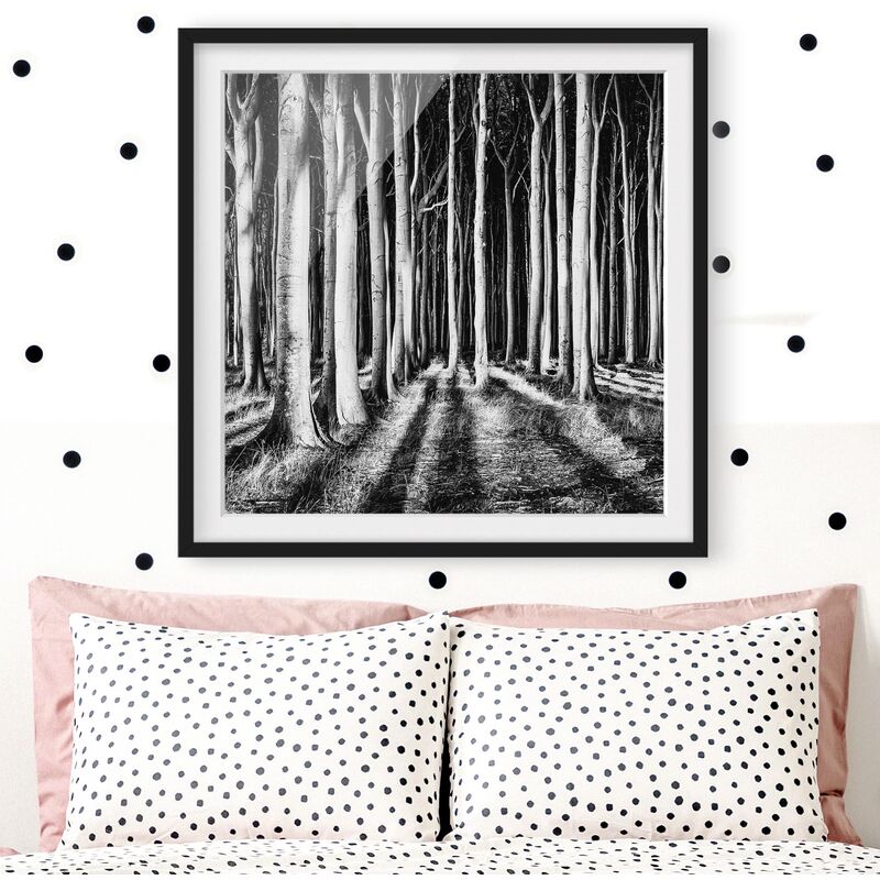 

Póster enmarcado - Forest Of Ghosts Dimensión LxA: 20cm x 20cm, Marco: Negro