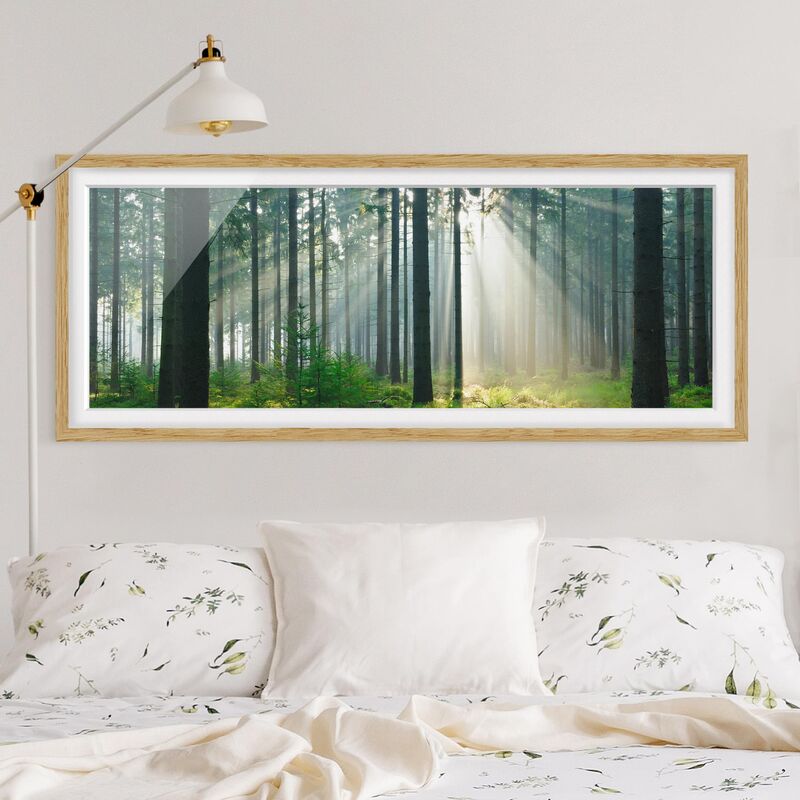 

Póster enmarcado - Foresta Enlightened Dimensión LxA: 40cm x 100cm, Marco: Roble