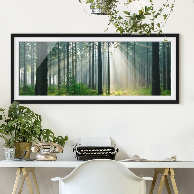 

Póster enmarcado - Foresta Enlightened Dimensión LxA: 30cm x 75cm, Marco: Negro