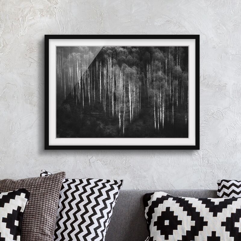 

Póster enmarcado - Foreste di betulle in Aspen Dimensión LxA: 50cm x 70cm, Marco: Negro