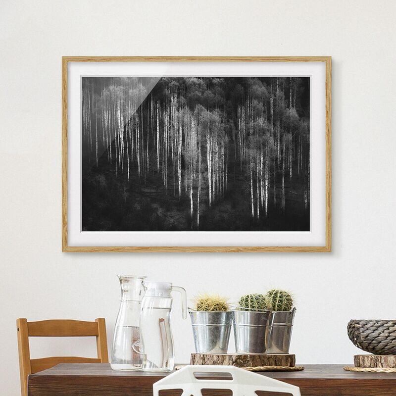 

Póster enmarcado - Foreste di betulle in Aspen Dimensión LxA: 50cm x 70cm, Marco: Roble