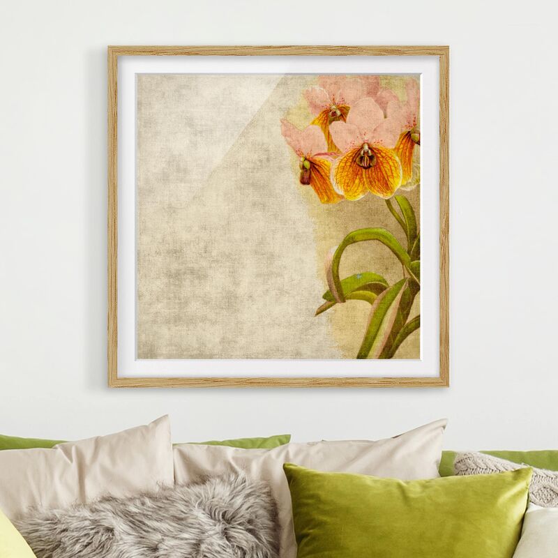 

Póster enmarcado - Forgotten Beauty III Dimensión LxA: 70cm x 70cm, Marco: Roble