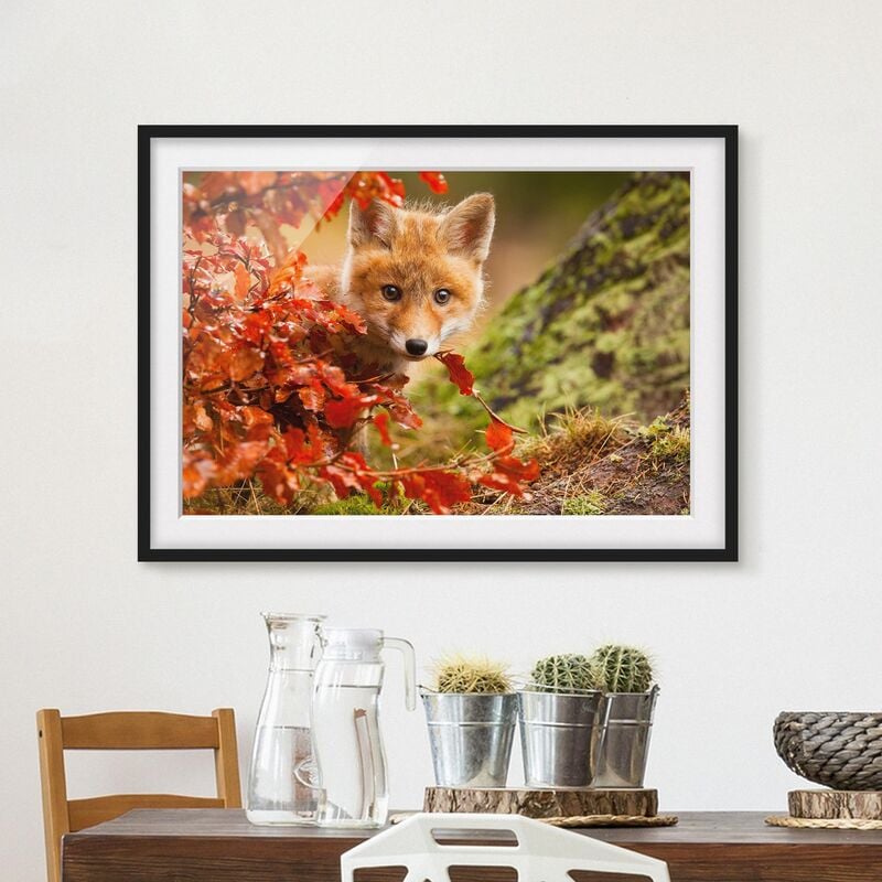 

Póster enmarcado - Fox In The Fall Dimensión LxA: 70cm x 100cm, Marco: Negro