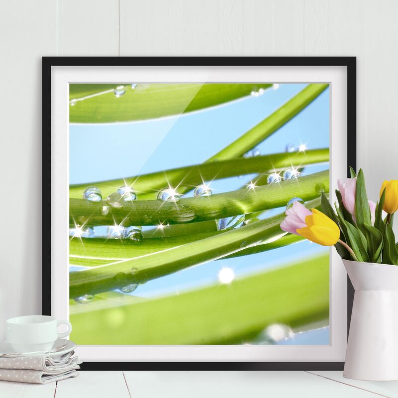 

Póster enmarcado - Fresh Green Dimensión LxA: 70cm x 70cm, Marco: Negro