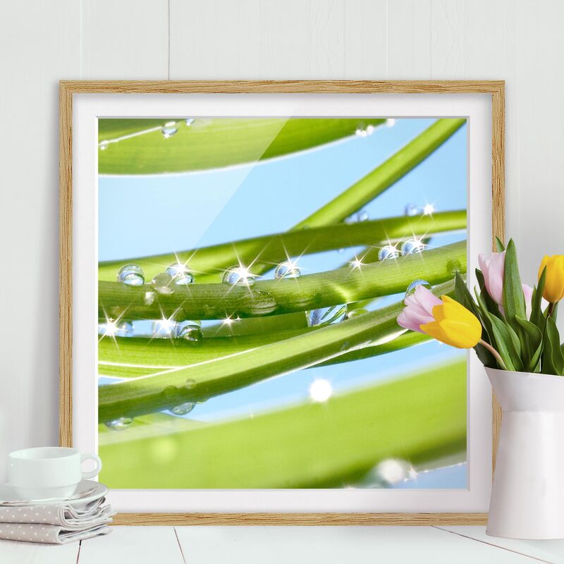 

Póster enmarcado - Fresh Green Dimensión LxA: 20cm x 20cm, Marco: Roble
