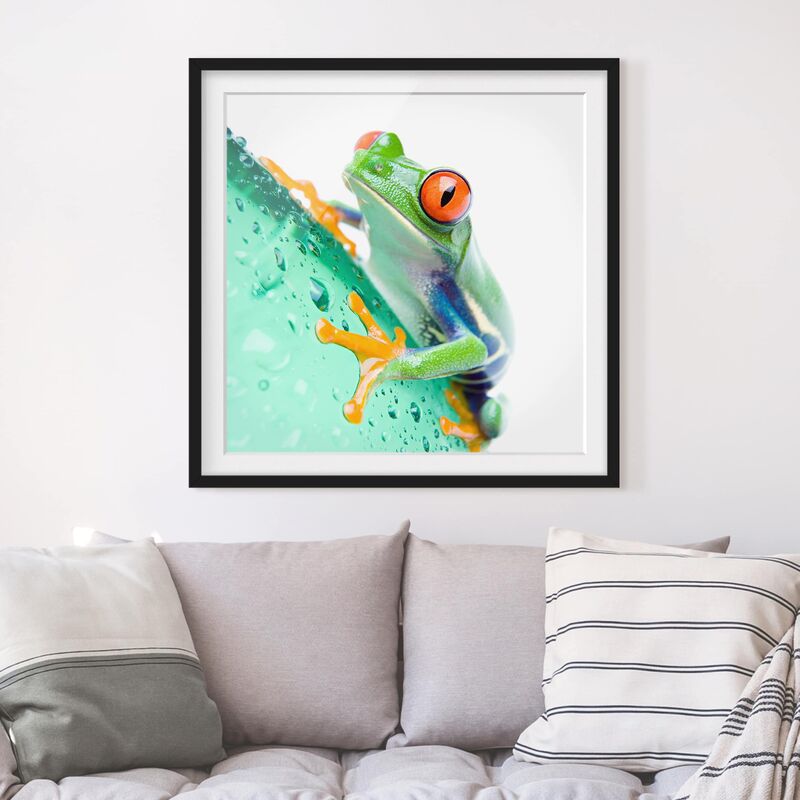 

Póster enmarcado - Frog Dimensión LxA: 30cm x 30cm, Marco: Negro
