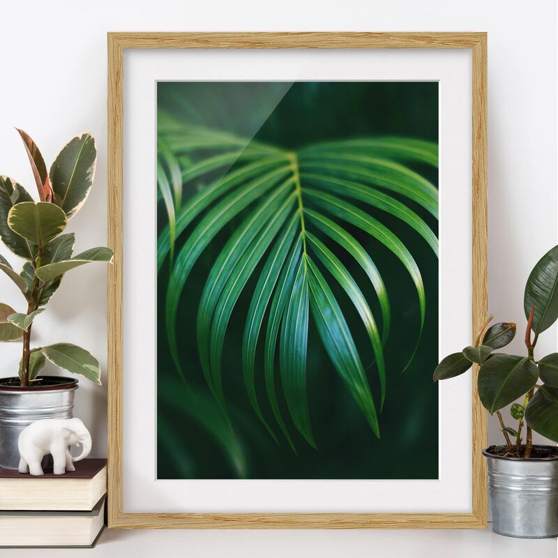 

Póster enmarcado - Frond Dimensión LxA: 55cm x 40cm, Marco: Roble