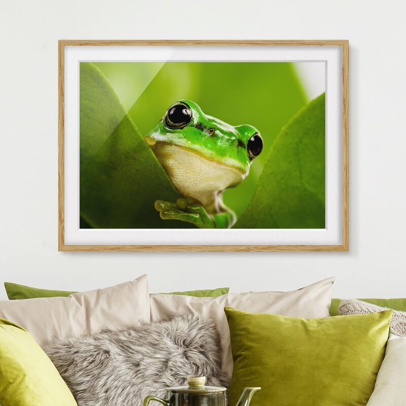 

Póster enmarcado - Frog Dimensión LxA: 30cm x 40cm, Marco: Roble