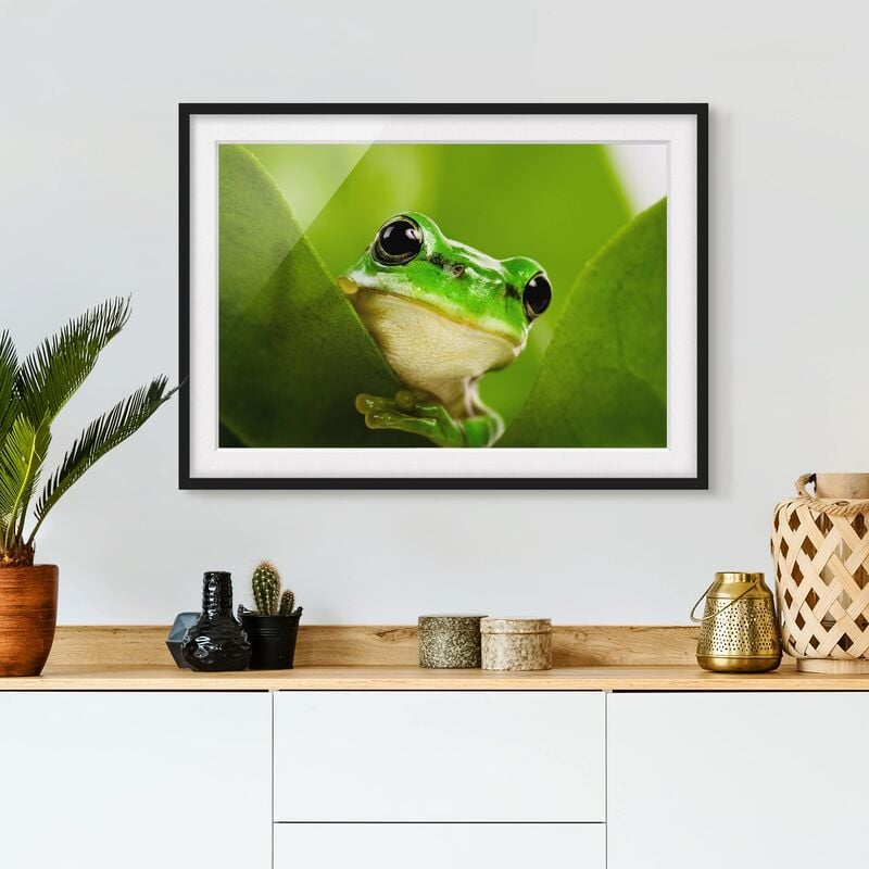 

Póster enmarcado - Frog Dimensión LxA: 18cm x 24cm, Marco: Negro