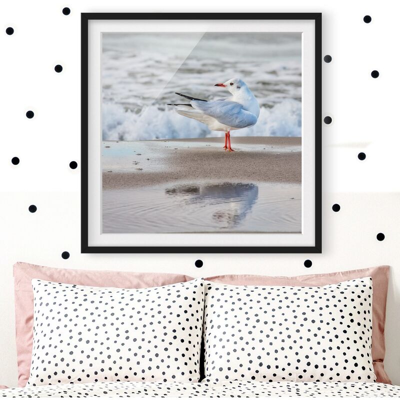 

Póster enmarcado - Gabbiano Sulla Spiaggia Di Fronte Al Mare Dimensión LxA: 20cm x 20cm, Marco: Negro