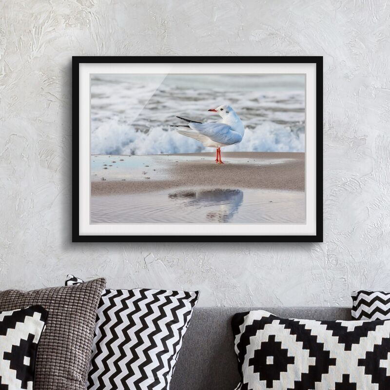 

Póster enmarcado - Gabbiano Sulla Spiaggia Di Fronte Al Mare Dimensión LxA: 70cm x 100cm, Marco: Negro
