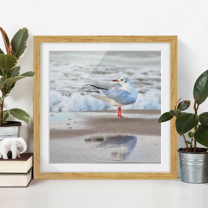

Póster enmarcado - Gabbiano Sulla Spiaggia Di Fronte Al Mare Dimensión LxA: 30cm x 30cm, Marco: Roble