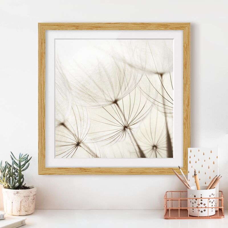 

Póster enmarcado - Gentle Grasses Dimensión LxA: 20cm x 20cm, Marco: Roble