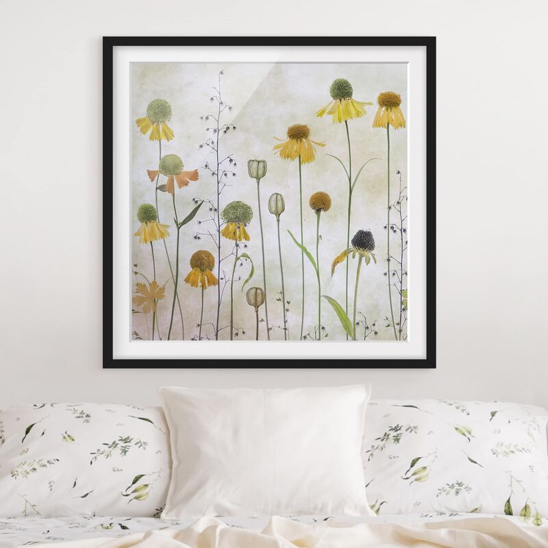 

Póster enmarcado - Gentle Helenium Blossoms Dimensión LxA: 30cm x 30cm, Marco: Negro