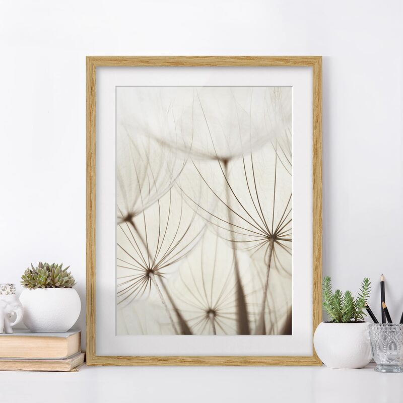 

Póster enmarcado - Gentle Grasses Dimensión LxA: 24cm x 18cm, Marco: Roble