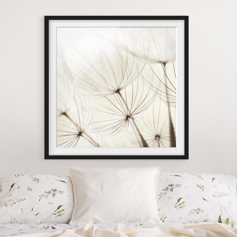 

Póster enmarcado - Gentle Grasses Dimensión LxA: 70cm x 70cm, Marco: Negro