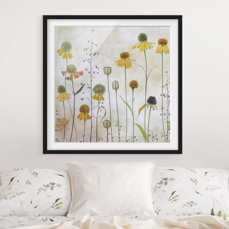 

Póster enmarcado - Gentle Helenium Blossoms Dimensión LxA: 20cm x 20cm, Marco: Negro