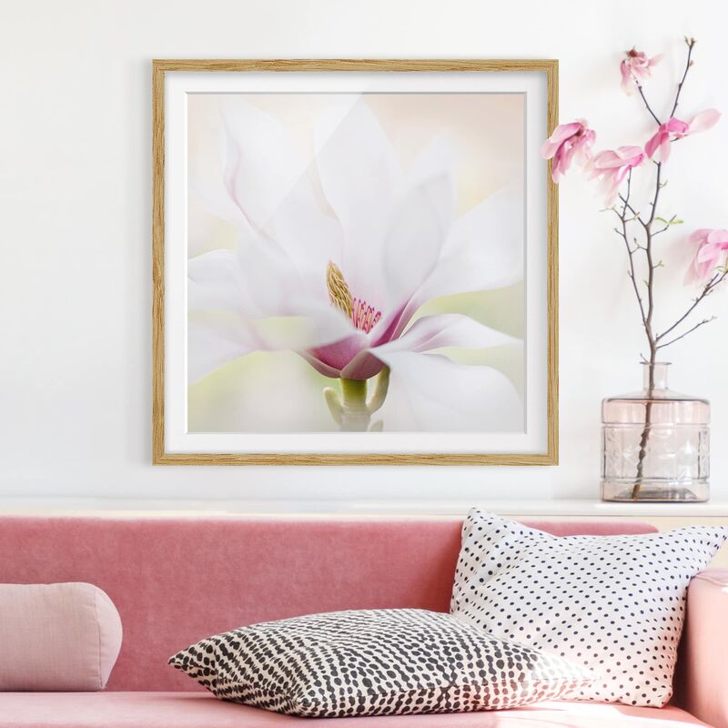 

Póster enmarcado - Gentle Magnolia Blossom Dimensión LxA: 50cm x 50cm, Marco: Roble