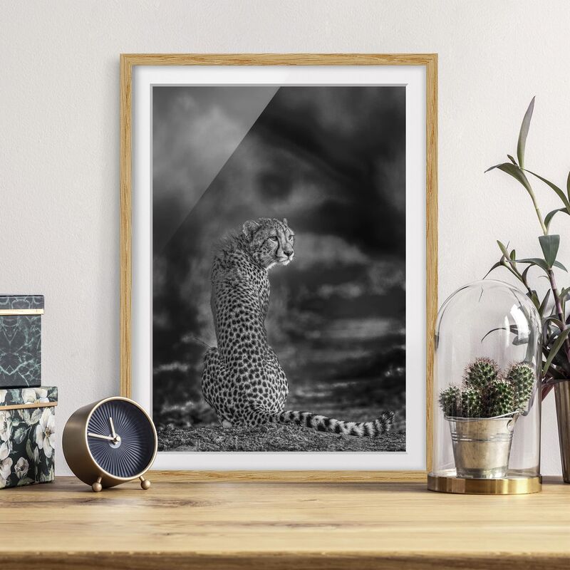 

Póster enmarcado - Ghepardo Nel Deserto Dimensión LxA: 40cm x 30cm, Marco: Roble