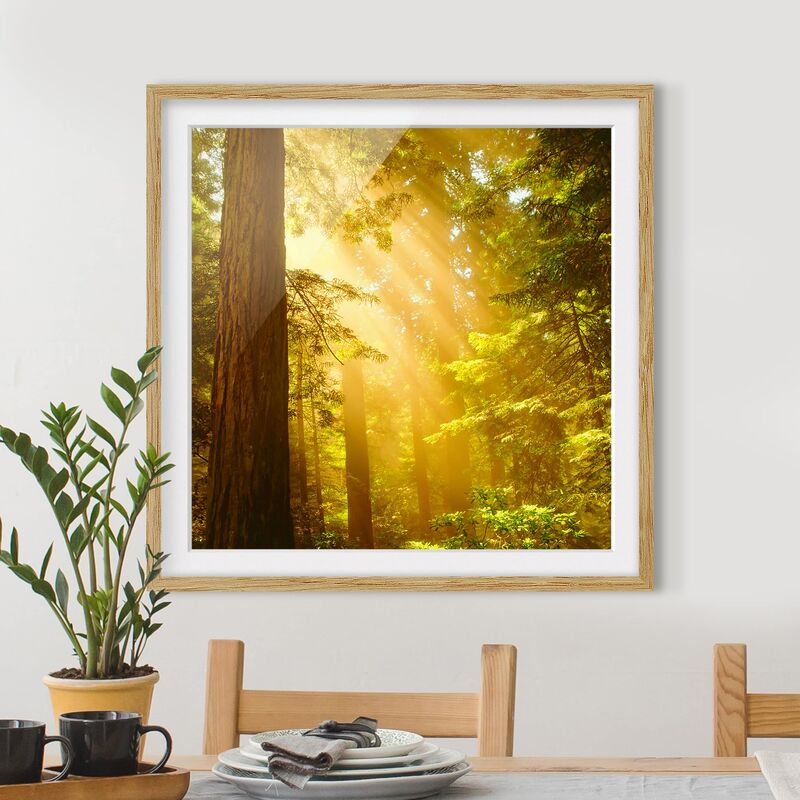 

Póster enmarcado - Golden Morning Dimensión LxA: 50cm x 50cm, Marco: Roble