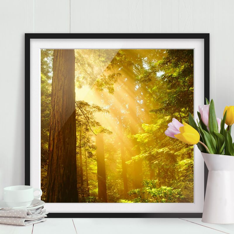 

Póster enmarcado - Golden Morning Dimensión LxA: 20cm x 20cm, Marco: Negro