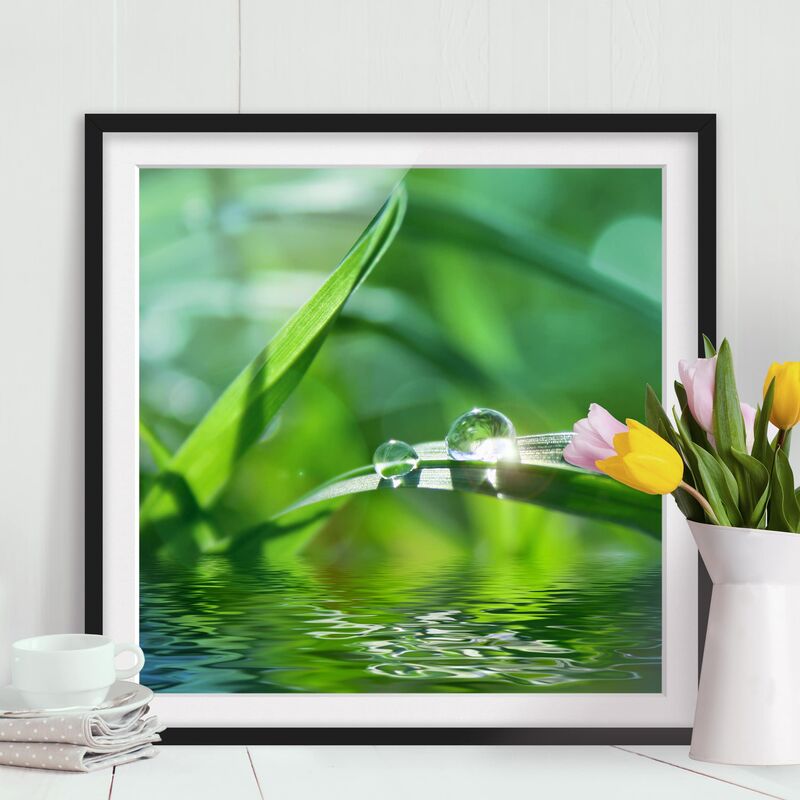 

Póster enmarcado - Green Ambiance II Dimensión LxA: 50cm x 50cm, Marco: Negro